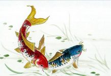 Biểu tượng song ngư cho hạnh phúc tràn đầy Biểu tượng song ngư cho hạnh phúc tràn đầy