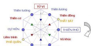 Tử vi có những trường phái nào Tử vi có những trường phái nào