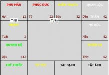 Ý nghĩa của 12 cung trong lá số tử vi Ý nghĩa của 12 cung trong lá số tử vi