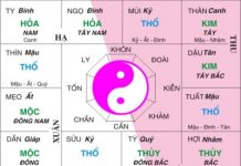 Ý nghĩa trong lá số tử vi và cách giải Ý nghĩa trong lá số tử vi và cách giải