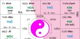 Ý nghĩa trong lá số tử vi và cách giải Ý nghĩa trong lá số tử vi và cách giải